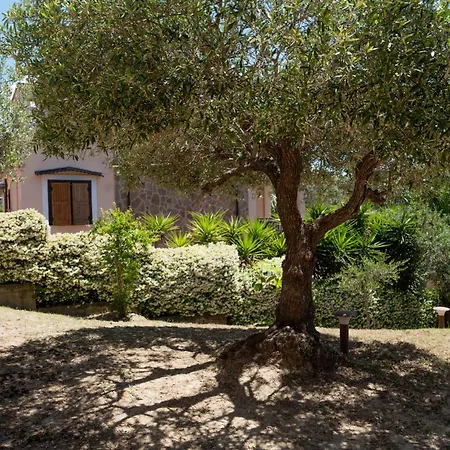 Santangelo 3*